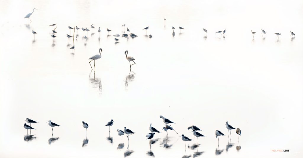 Reflections in the lake